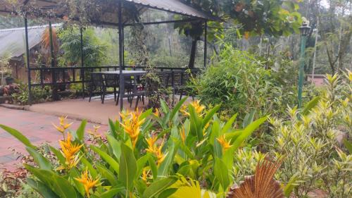 Vythiri House | River view cottage