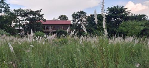 Sauraha Resort | River View Jungle Camp