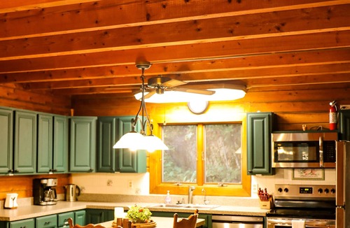 Rileyville Cabin | Riverfront logcabin; EVcharging, hot tub, firepit, Petfriendly Canoes, Sleeps 12