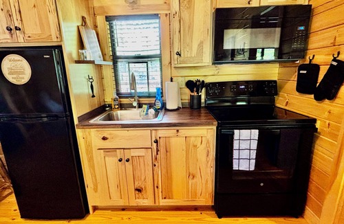 Canton Cabin | Riverfront Mountain Cabin w/Walk-In/Beach Access to the Pigeon River