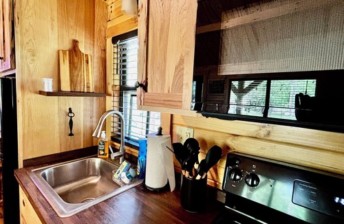 Canton Cabin | Riverfront Mountain Cabin w/Walk-In/Beach Access to the Pigeon River
