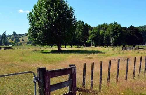 Taumarunui House | Riverlea Cottage and Art Stay Taumarunui Ruapehu