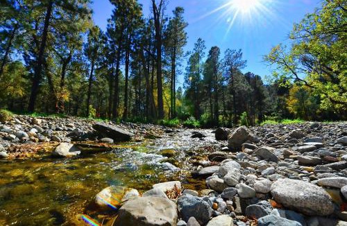 Ruidoso House | Rivers Edge Cabin