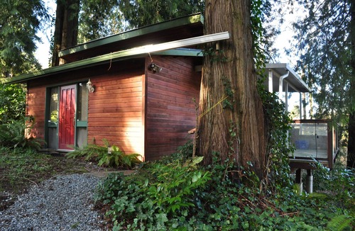 Langley Cabin | Riverside Forest Cabin Retreat – Peaceful Escape Near Major international sporting event Action