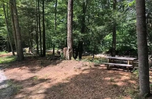 Northern Cabin | Riverside tent site - Camp Holly