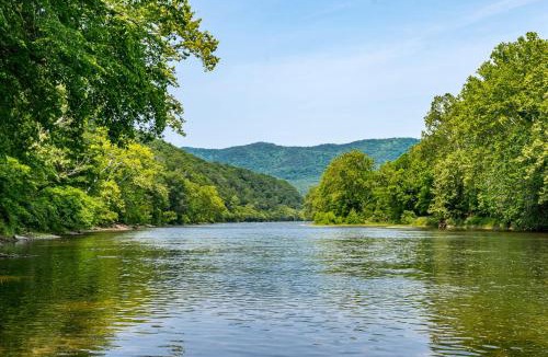 Rileyville Apartment | Riverside Tiny Cabin w Hot Tub, Fire Pit, & Kayaks