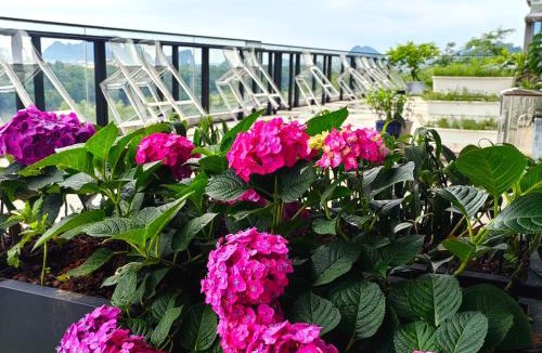 Xiufeng Hotel | Riverside Wing Hotel Guilin
