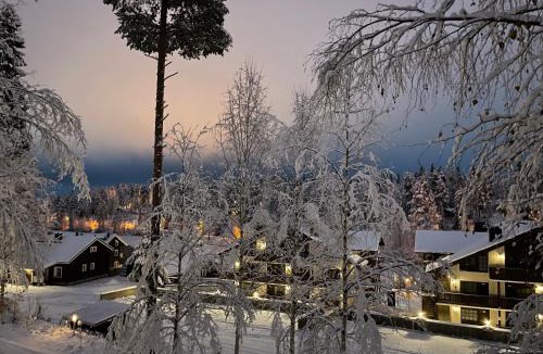 Nilsia House | Rivitahko
