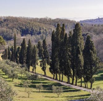 Pistoia Bed & Breakfast | Rivo della Corte