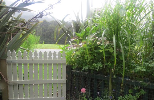 Blackball Cottage | Roa Cottage is a rustic cottage, close to the start of the Paparoa Great walk.