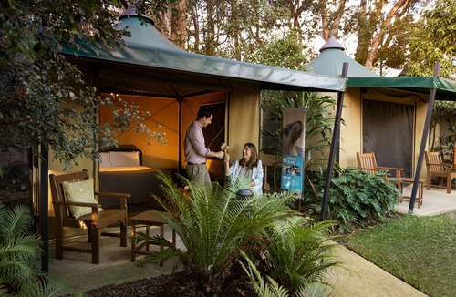 Mosman Cabin | Roar and Snore at Taronga Zoo Sydney