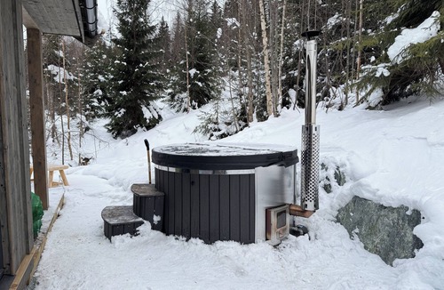 Krodsherad House | Robelia - Sauna, Hot tub - Norefjell ski center