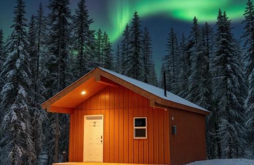 Tok Cabin | Roberts Lodge