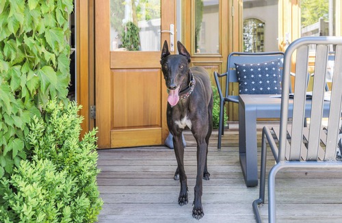 Kyneton House | Rochville | Stylish Dog Friendly Accommodation