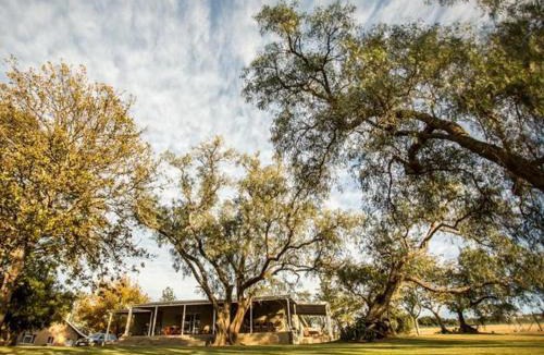 Amahlathi Cabin | Rockdell Lodge