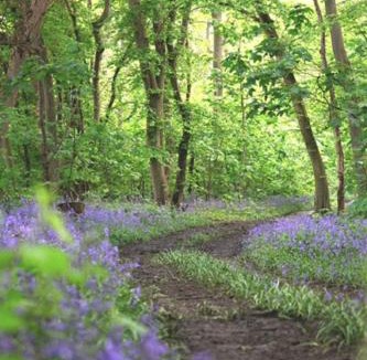 Layer Marney Other | Rockinghams Farm