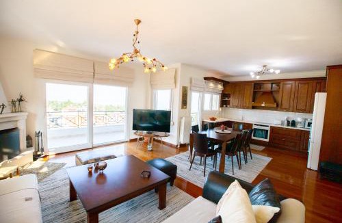 Litochoro Villa | Rodon Apartment with Great View, Sauna and Jacuzzi
