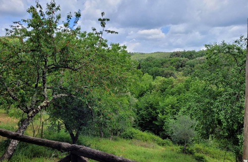 Castello di Tocchi Apartment | Romantic apartment located in a hamlet in the Sienese countryside