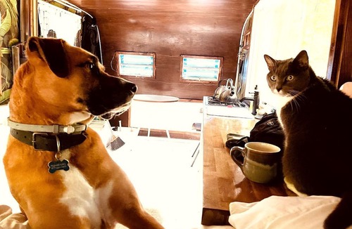 Ancram House | Romantic Glamping Getaway in a Pet Friendly Caravan, Ideal to Explore Hudson Valley