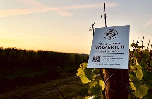 Kowerich Apartment | Romantic hideaway with a view of the vineyards