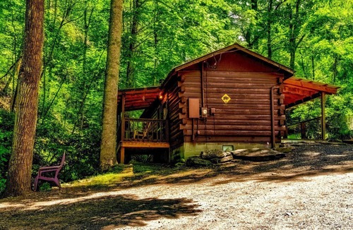 Cherokee Cabin | Romantic Log Cabin in Wooded Setting near Cherokee, North Carolina