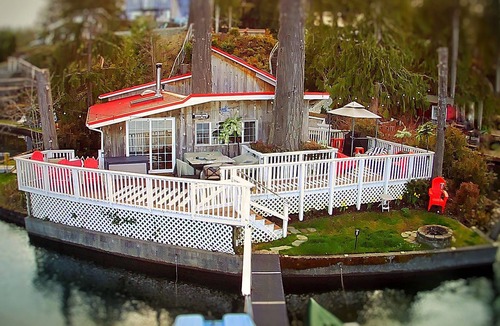 Shelton Cabin | Romantic, pet friendly lakefront cabin!
