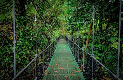 Manuel Antonio Cottage | Romantic Secluded Jungle Cockpit Cottage w Private Outdoor Tub