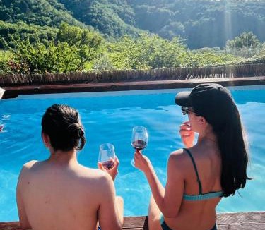 Lamole Apartment | Romantic Tuscan Barn with Pool Views Private Terrace Sleeps 2 to 6, Lamole Greve in Chianti