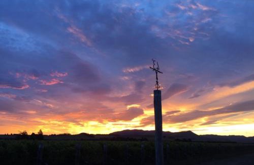 Broomfield House | Romantic vineyard getaway on Wine Estate, with wine tasting, hot tub and amazing views