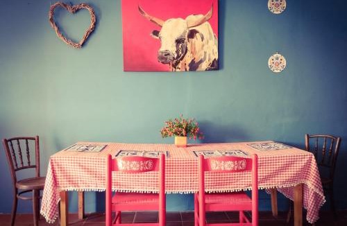 Kanoneiland House | Romantic Vintage Cottage, Views across vineyards.