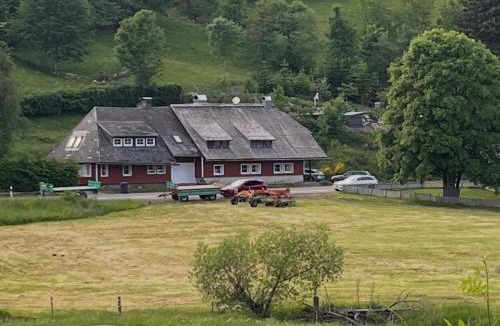 Schluchsee House | Romantisches Schwarzwaldhaus