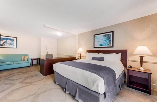 Blue Ash Hotel | Room Great for Exploring Cincinnati with Complimentary Hot Breakfast