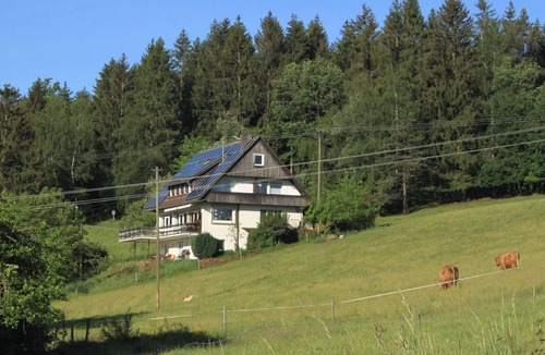 Muehlenbach Apartment | Room 'No. 1' with Private Balcony, Shared Garden and Wi-Fi