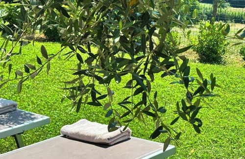 Pontedera Other | Room with a kitchenette and a hot tub on the veranda; garden with lounge chairs