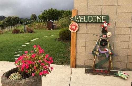 Waipu Bed & Breakfast | Room with a view