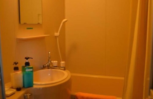 Iida Hotel | Room with loft maisonette type for 2 people/Kitaazumi-gun Nagano