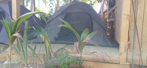Villa Borinquen Other | Rooster Run Camping is a - rooftop & elevated camping experience! Incredible views of The Rain Forrest and Culebra across the Atlantic Ocean - Tents, towels, comfortable Air Beds, Warm Shower-Central Location- 5 beaches -25 min walk & Ferry is 20 min