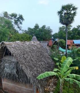 Bommayapalayam Hostel | Rootscape Huts Hostel and Home Stay