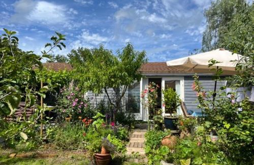 Schoorldam Resort | Rosa's zonnige huisje bij duinen bos en strand
