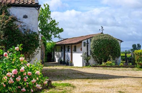 Staple Hill Hotel | Rose - Delightful Stables Conversion By STAE-Homes