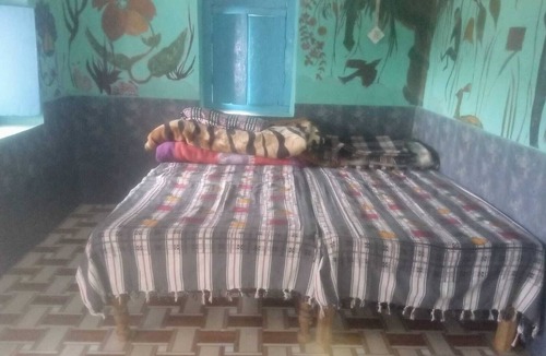Vijaypur House | Rose Home Stay
