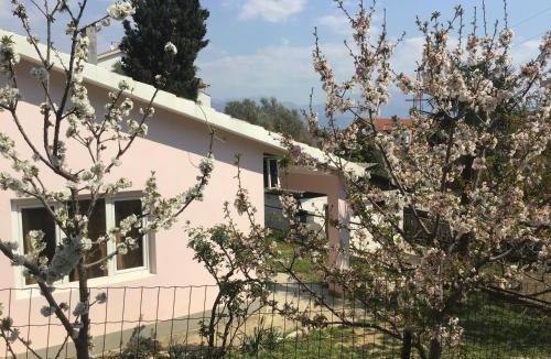 Pricelje House | Rose House