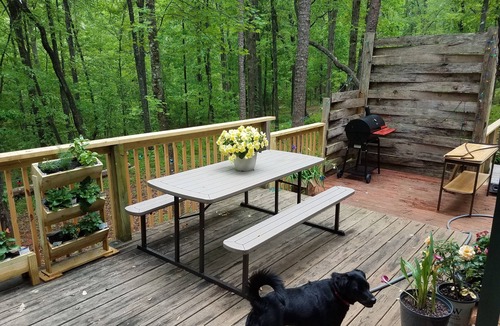 Cleveland Cabin | Rose's Cabin - A Rustic Pet-Friendly Cabin In The Woods