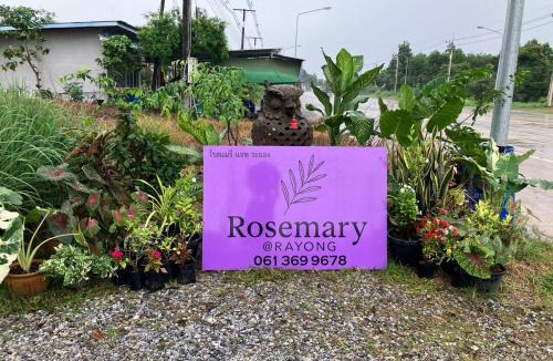 Klaeng House | Rosemary Rayong