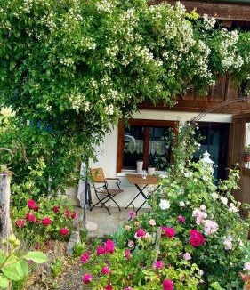 Gerzensee Apartment | Rosenhüsli