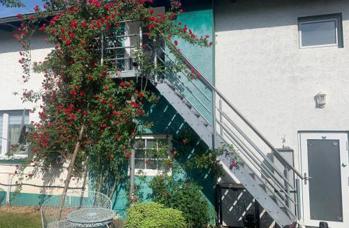 Hasenfeld Apartment | Rosenstufen