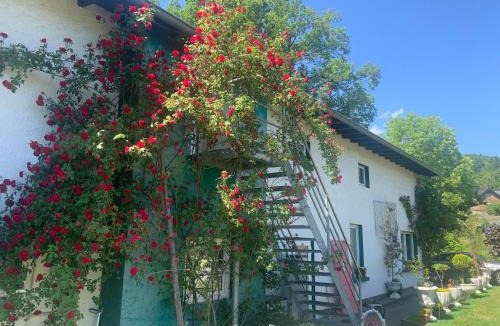 Hasenfeld Apartment | Rosenstufen