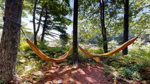 Shelburne Hotel | Roseway River Cottages