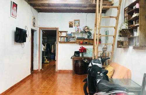 Da Lat Other | RosiesHome