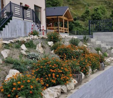 Rucar House | Roua Dimineții